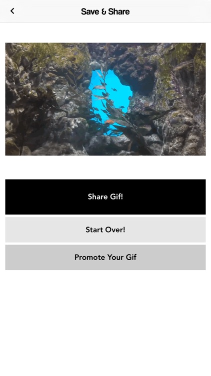 Giffel - Animated Gif Maker - for YouTube screenshot-3