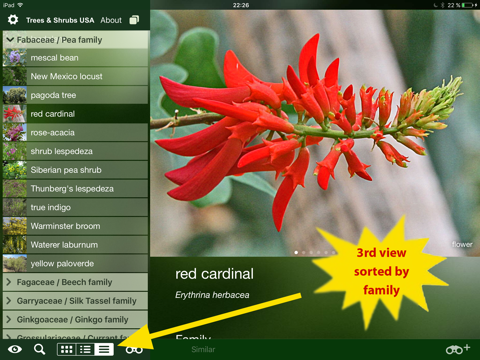 Screenshot #4 for Tree Id USA - identify over 1000 of America's native species of Trees, Shrubs and Bushes