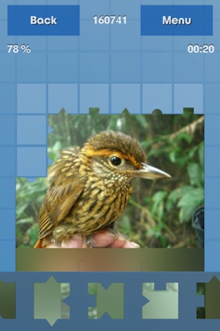 Birds Puzzle Guru screenshot 3