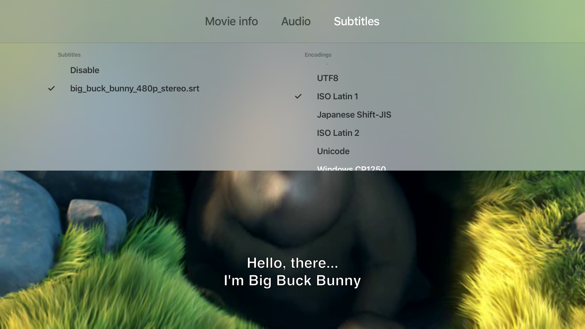 Subtitles Player