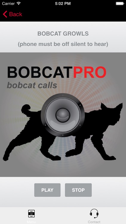 REAL Bobcat Calls - Bobcat Hunting - Bobcat Sounds