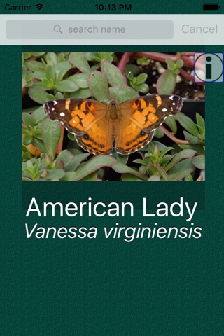 Butterfly Dictionary Pro screenshot 2