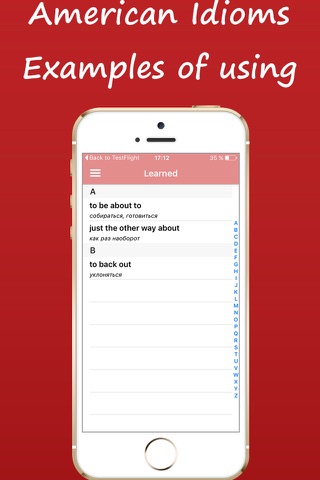 American Idioms, Examples of using screenshot 4