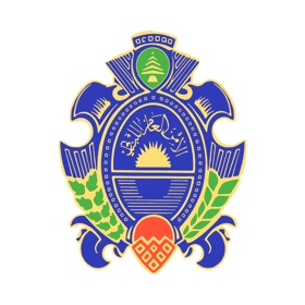 螢幕擷取畫面 (5) General Security - الأمن العام اللبناني