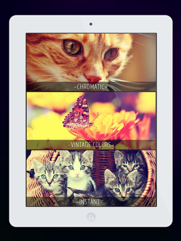 Live Filter Cam-Overlay Effect