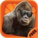 Photo knockout prank - legend of tarzan style lens+selfie sticker maker free app icon - Business app for iPhone