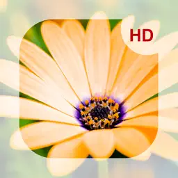 Flowers HD Wallpaper - Great Collection app icon