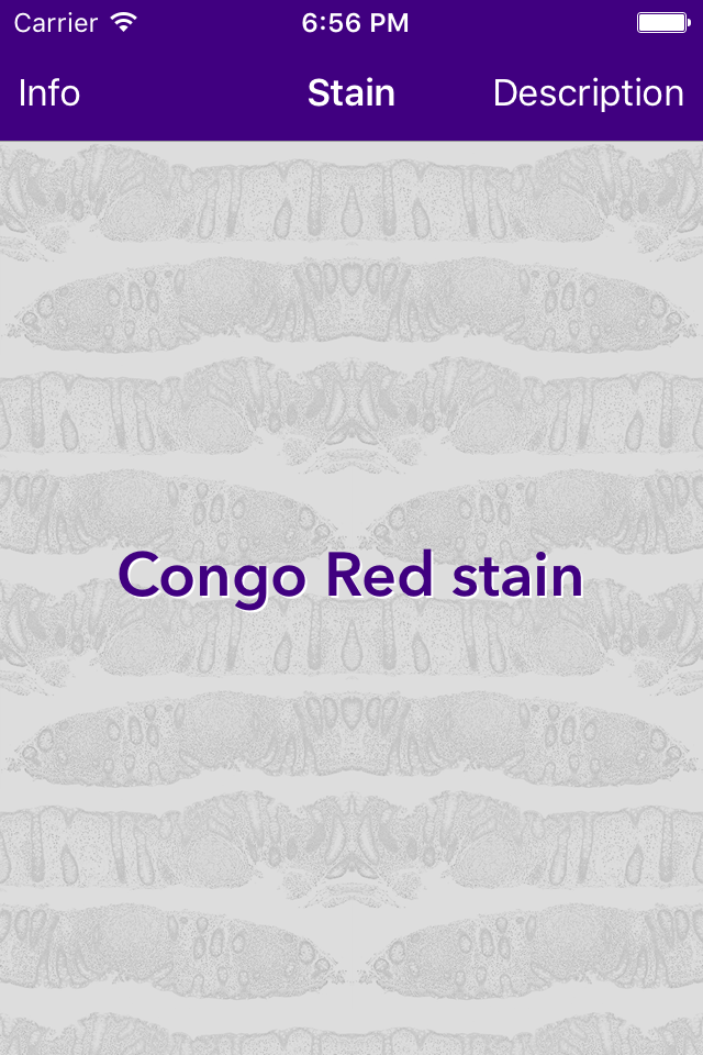 FlashKarte Histology Stains