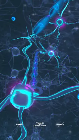 Game screenshot BrainExplain apk