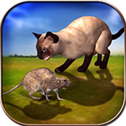 Angry Cat VS Mouse iOS App