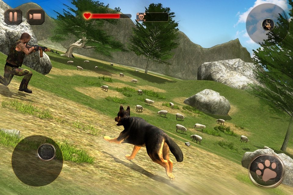 Shepherd Dog Simulator 3D screenshot 3