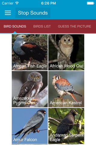 Birds of Prey and Sounds - náhled