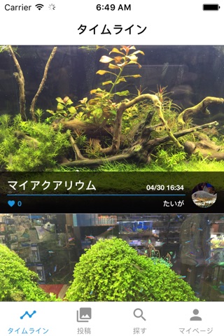 Aqua Forest -水草の森- screenshot 2