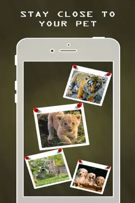 Game screenshot Photogram - Photo Collage Maker,Picture Jointer,Sticky Photo Creater mod apk