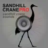 SandHill Crane Calls - SandHill Crane Hunting Call problems & troubleshooting and solutions