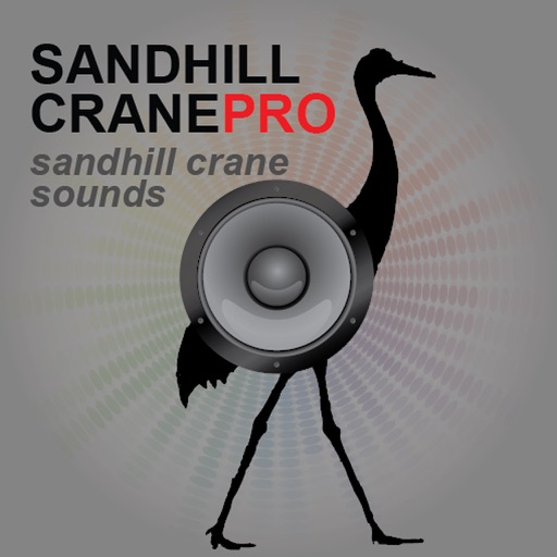 SandHill Crane Calls - SandHill Crane Hunting Call icon