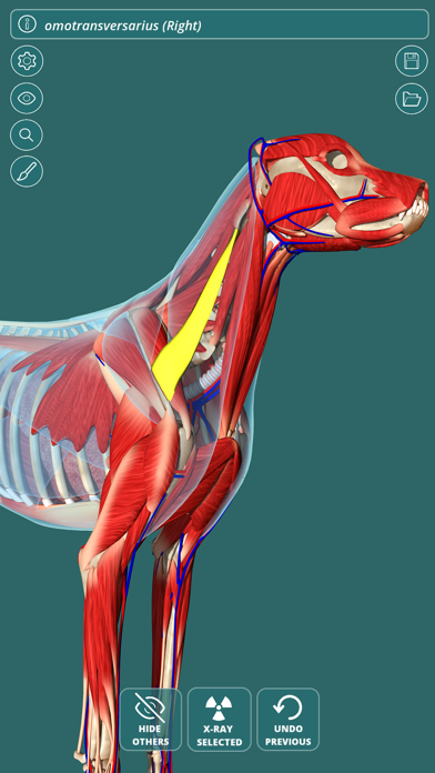 Visual Anatomy - Canine Screenshot