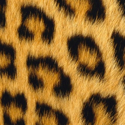 Animal Print Wallpapers icon