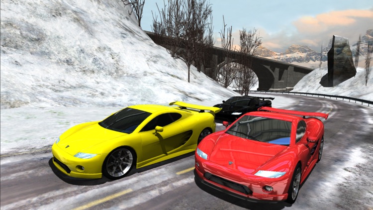 Sports Cars Racing Winter PRO