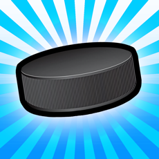 Activities of Ice Hockey Puck Fly Free
