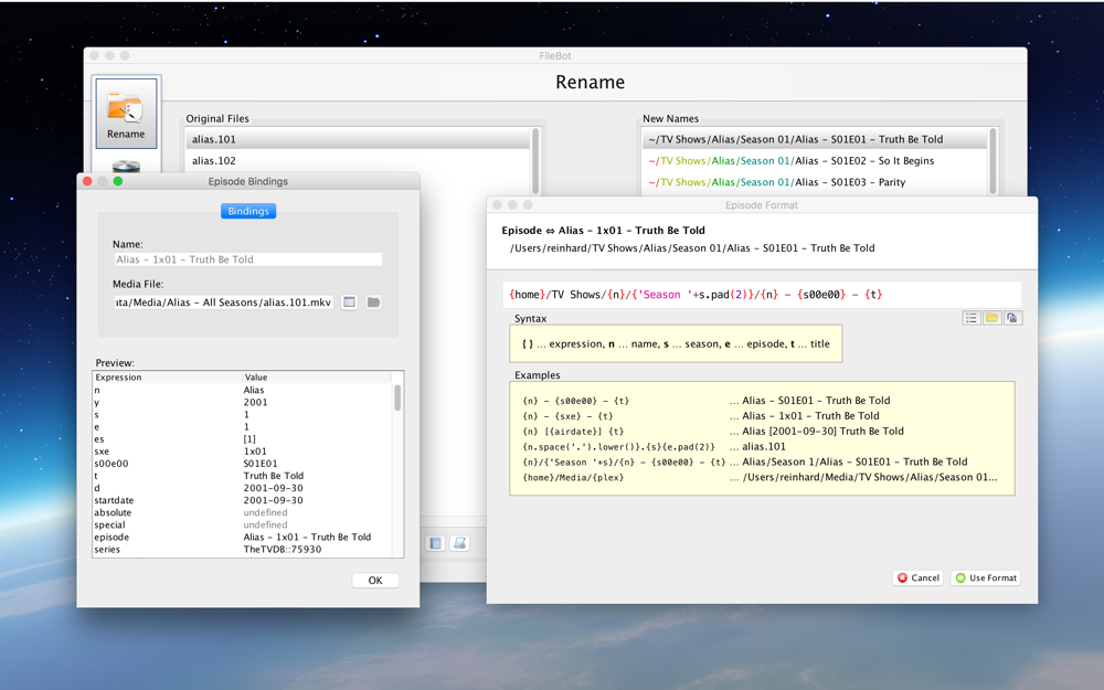 FileBot screenshot 3