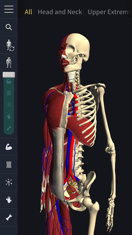 teamLabBody-3D Motion Human Anatomy-