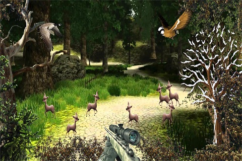 Deer Sniper Hunter 2016 screenshot 3