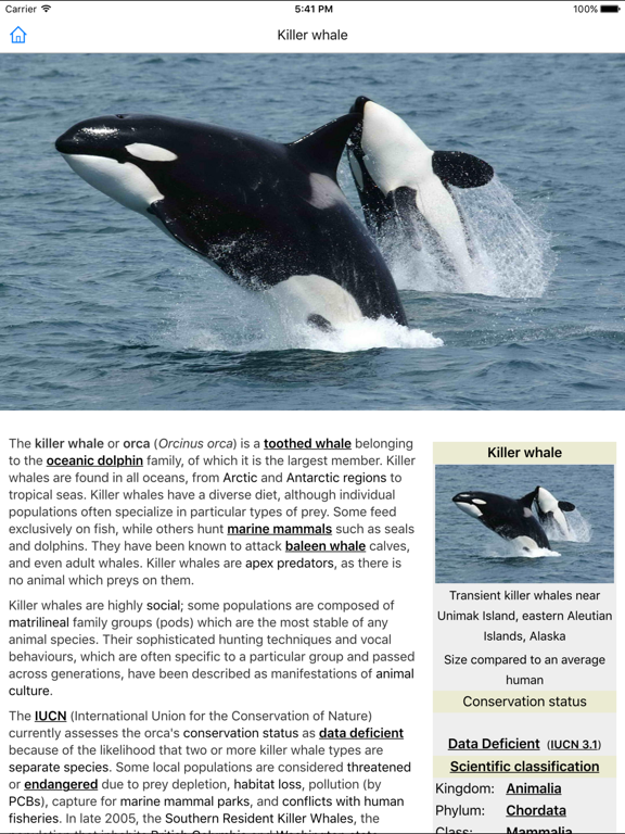 CHI Encyclopedia of Whales iPad screenshot 4 - Education app