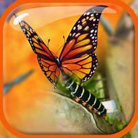 Blender Camera Effect –  Edit and Blend Photo.s with Overlap Effects in Superimpose Studio