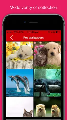 Game screenshot Pet wallpaper pictures : Background of flowers, cats and dogs for your mobile lock screen apk