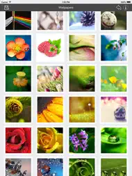 Wallpaper Collection Macro Edition ipad bilder 1