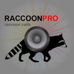 Download REAL Raccoon Calls and Raccoon Sounds for Raccoon Hunting app