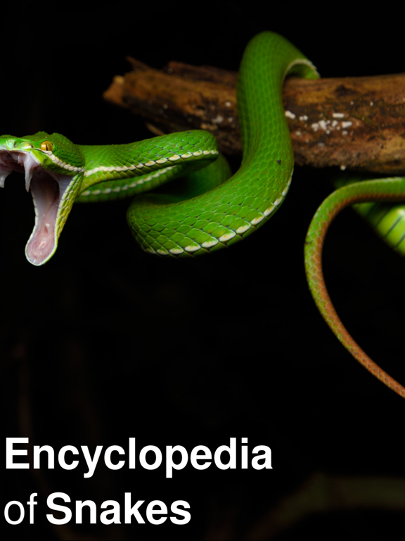 CHI Encyclopedia of Snakes