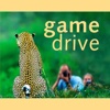 Game Drive - A Safari Guide to Animals of South Africa