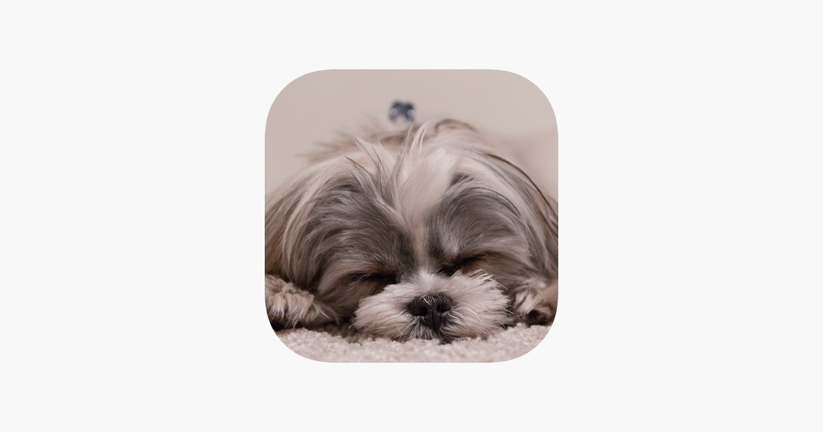 Dog Breeds: Dogs barking sounds, identification, whisperer, emotional free  on the App Store
