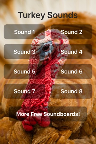 Turkey Soundsのおすすめ画像1