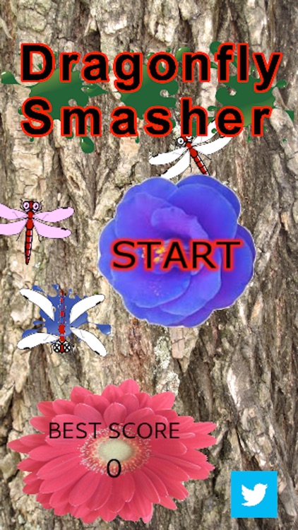 Dragonfly Smasher【Popular App】