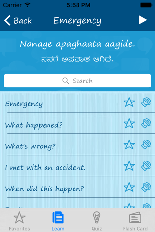 Learn Kannada Quickly Pro screenshot 2