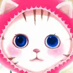 Cat Care Game App Contact