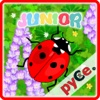 Pyce Junior Ladybug