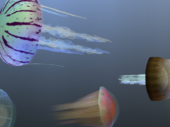 Jelly Dream iPad screenshot 4 - Entertainment app