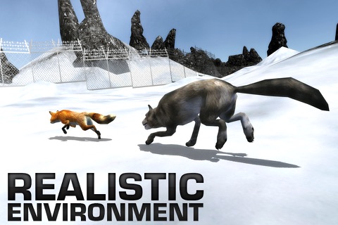 Angry Wolf Simulator – A Wild Animal Predator Simulation Game screenshot 2