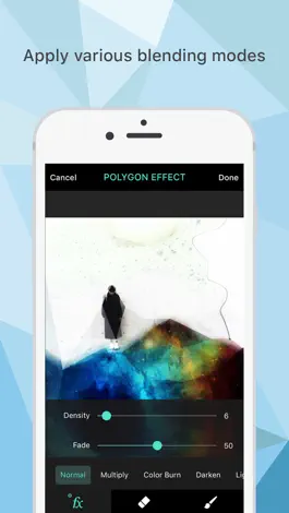 Game screenshot Polygon Effect - Create Low Poly Portraits and Geometric Art apk