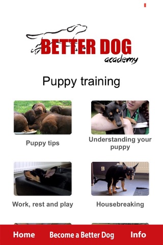 Better Dog Academy screenshot 3