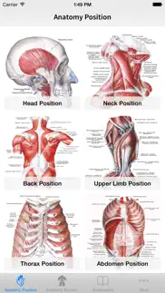 human anatomy position problems & solutions and troubleshooting guide - 1