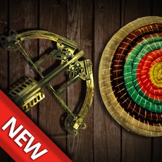 Activities of Crossbow Champion: Sport Target Shooting 3D Free