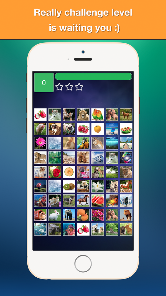Find Double - Matching pair game with cute photos - 1.2 - (iOS)