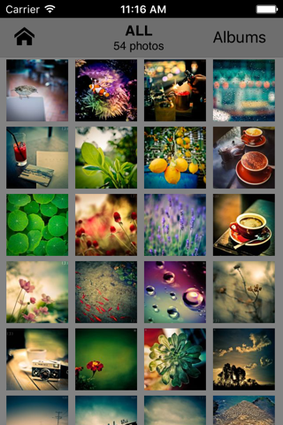 ( J ) Gallery screenshot 3