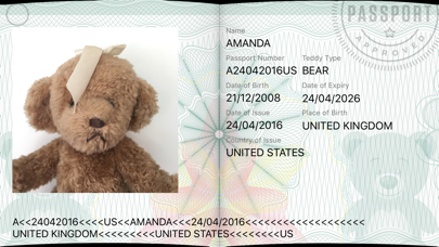 Teddy Bear Passport / Travel Photo Card ID Maker with Travel Stamps Screenshot