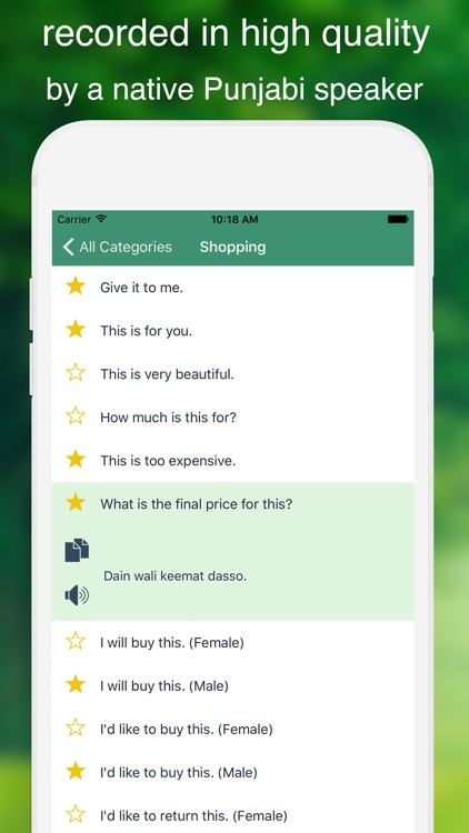 Speak Punjabi - Learn Punjabi Phrases & Words for Travel & Live in India, Pakistan